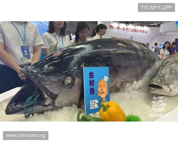 博鱼官网下载apk最新版本体验流畅的娱乐享受