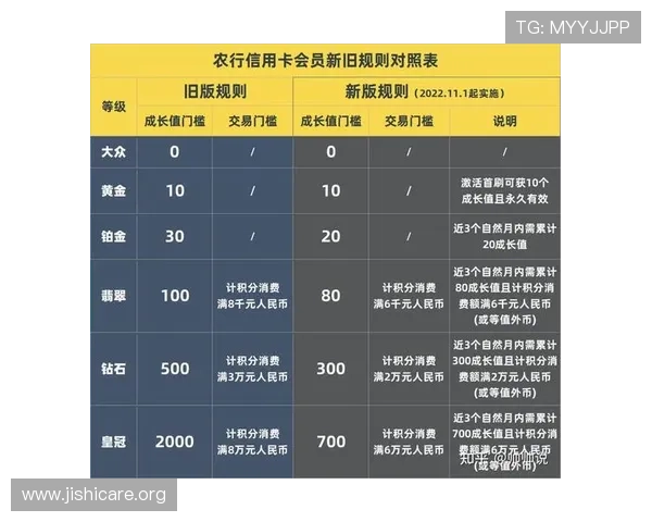 大满贯娱乐公司官网：会员权益与奖励制度详细介绍